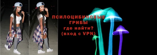 прущая мука Арсеньев